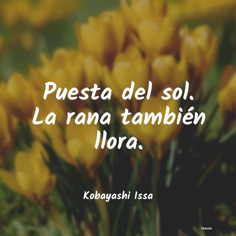 frases de Kobayashi Issa