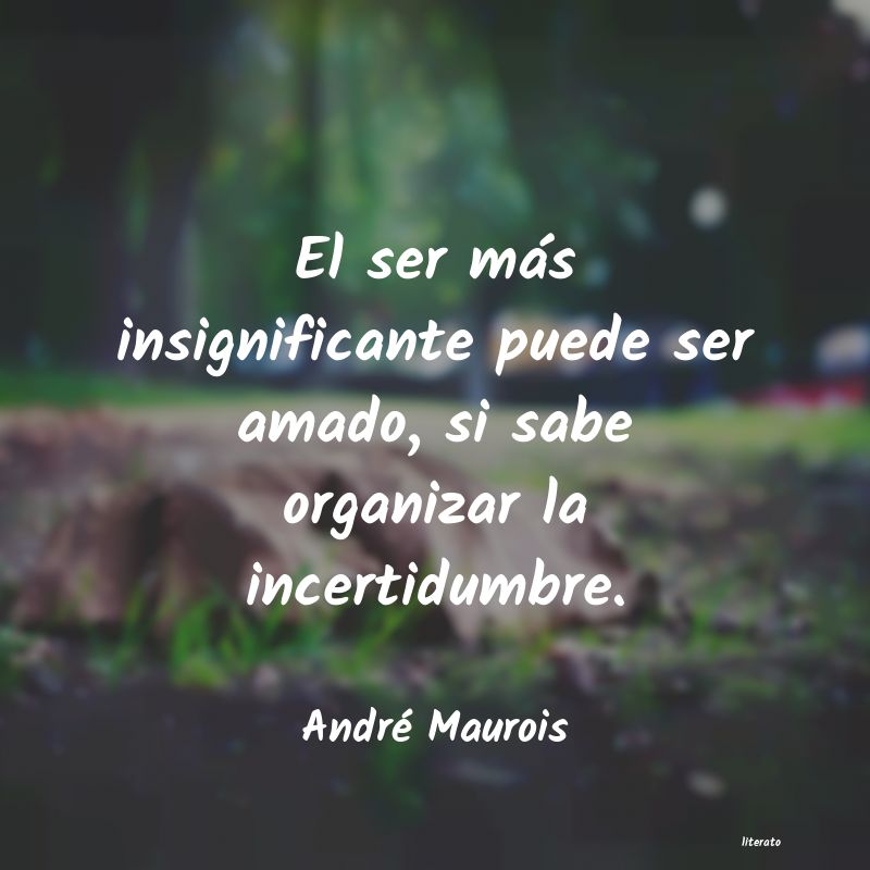 frases de André Maurois