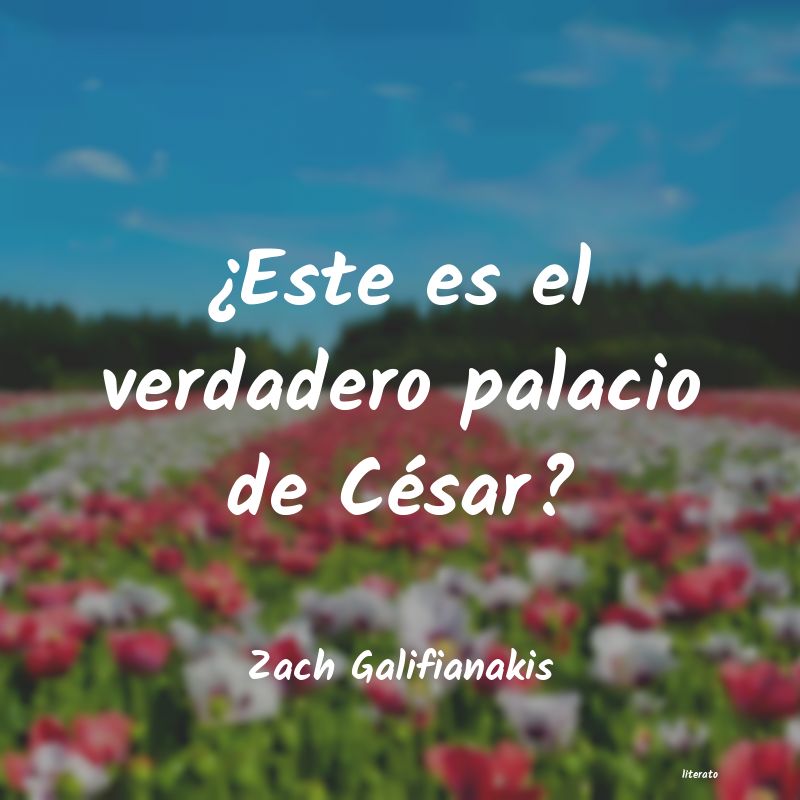 Frases de Zach Galifianakis