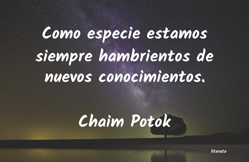 Frases de Chaim Potok