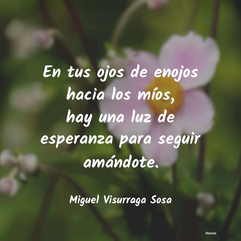 frases de Miguel Visurraga Sosa