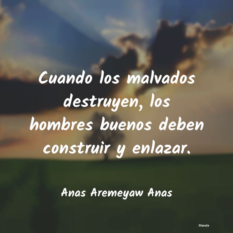 frases de Anas Aremeyaw Anas