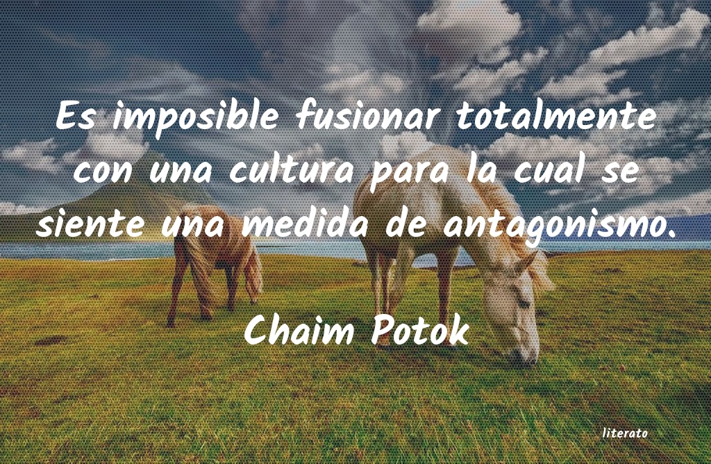 frases de Chaim Potok