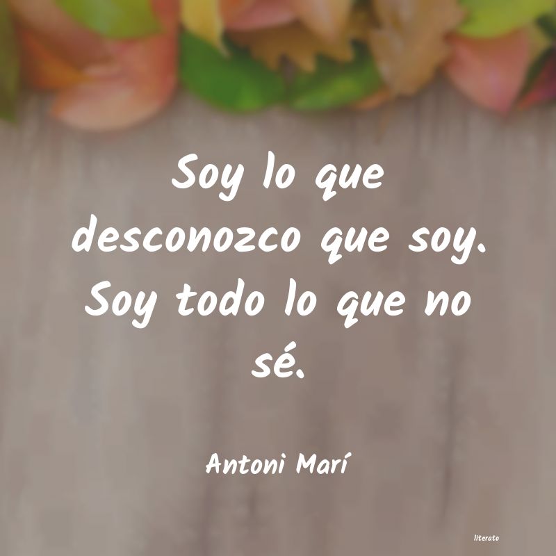 Frases de Antoni Marí