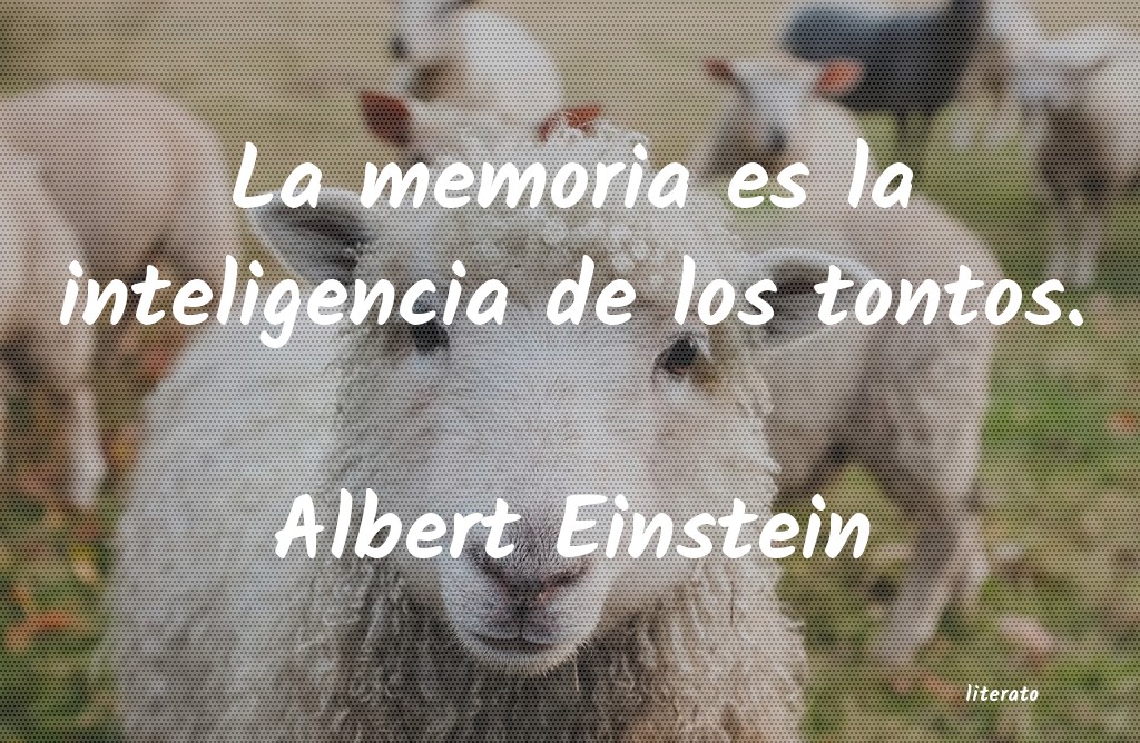 frases de Albert Einstein