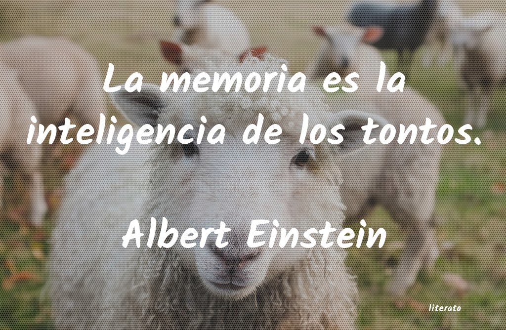 Frases de Albert Einstein