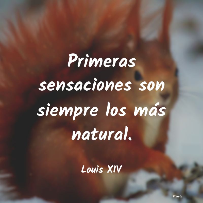 frases de Louis XIV