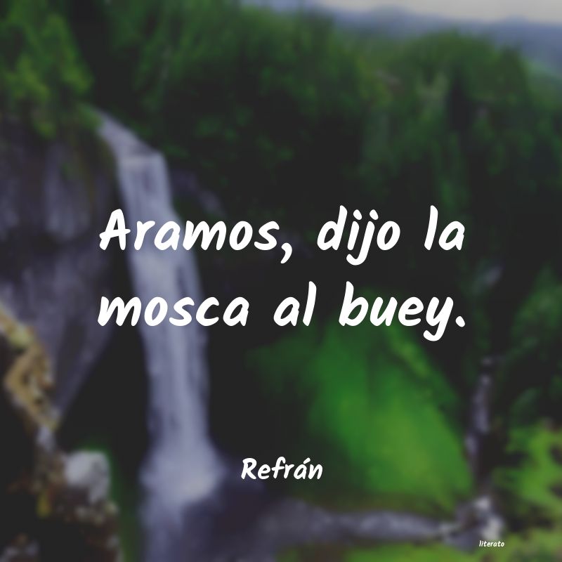 frases de RefrÃ¡n