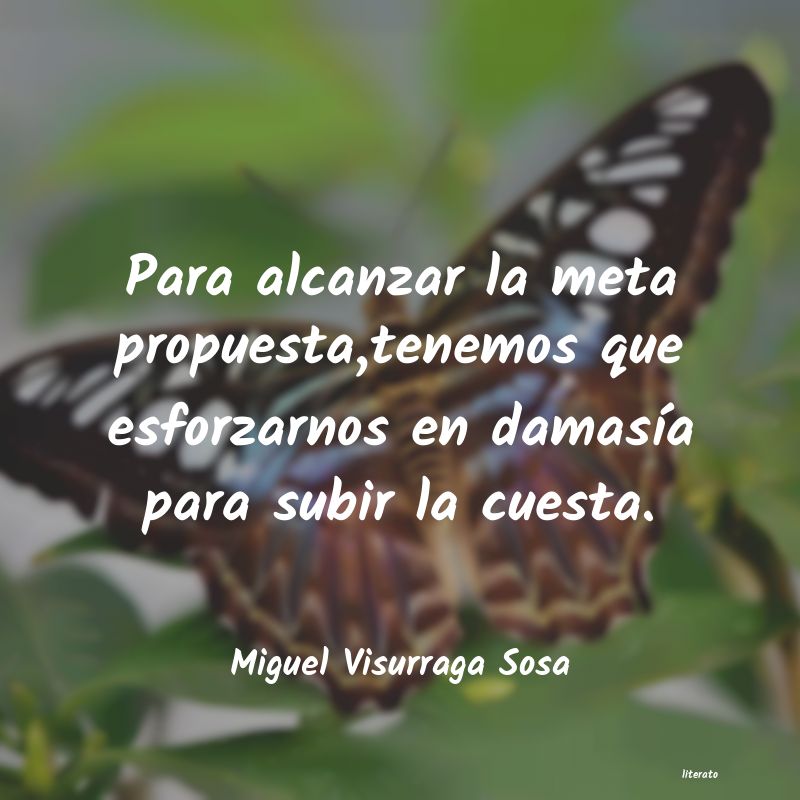 Frases de Miguel Visurraga Sosa