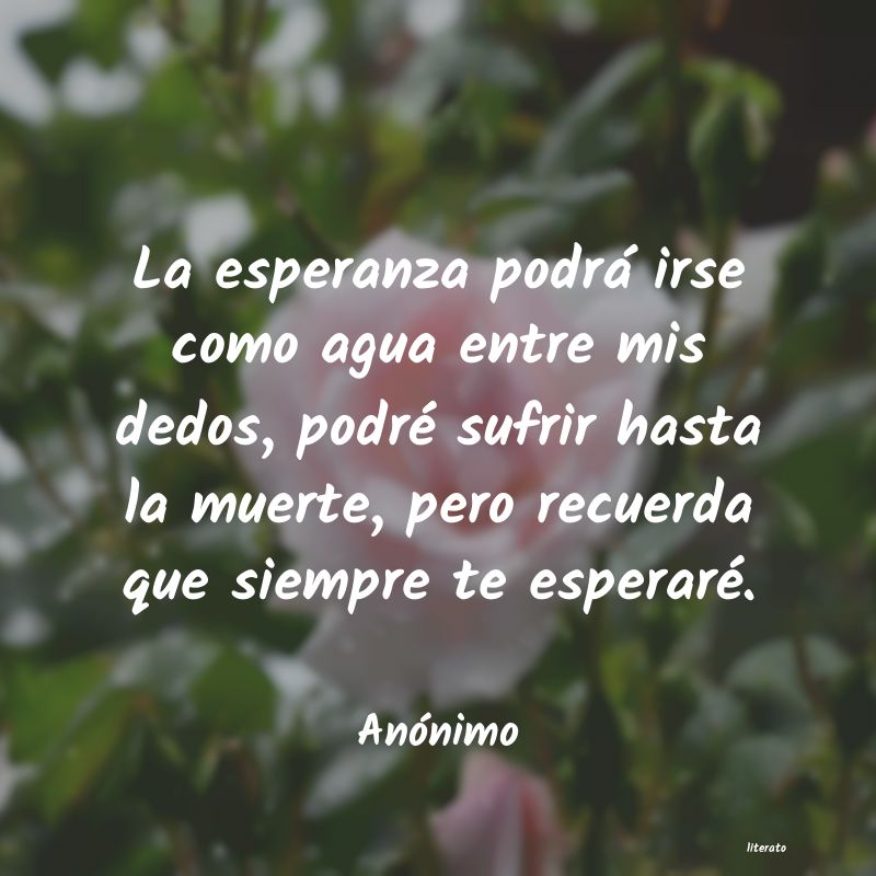 frases