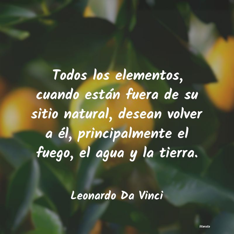 Frases de Leonardo Da Vinci