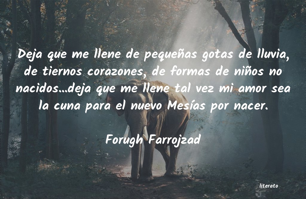 Frases de Forugh Farrojzad