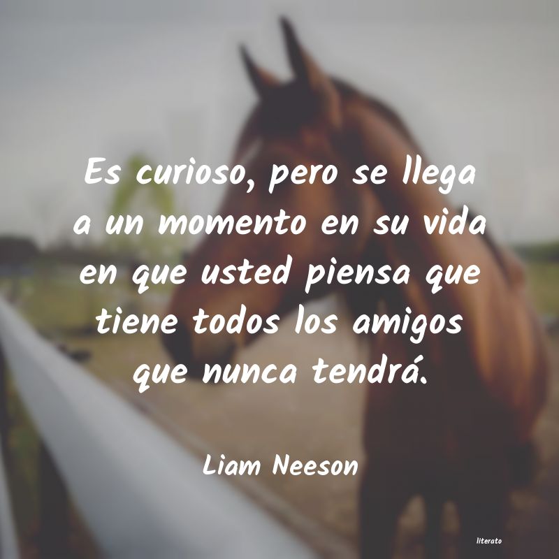 Frases de Liam Neeson