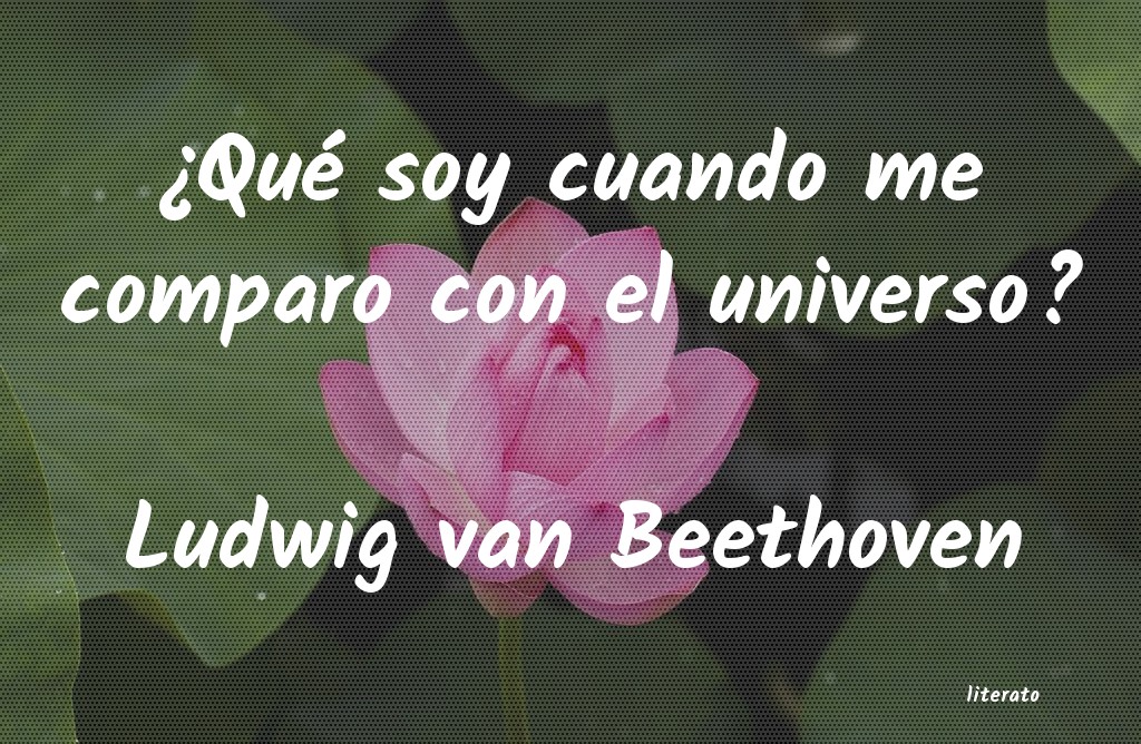 frases de Ludwig van Beethoven