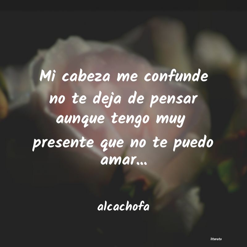 frases de alcachofa