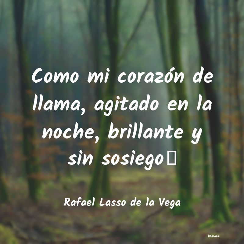 Frases de Rafael Lasso de la Vega