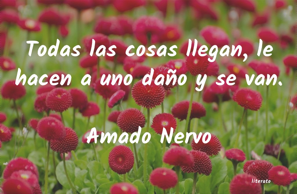 Frases de Amado Nervo