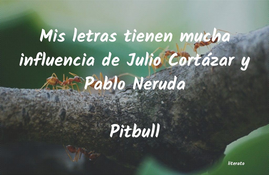 frases de Pitbull
