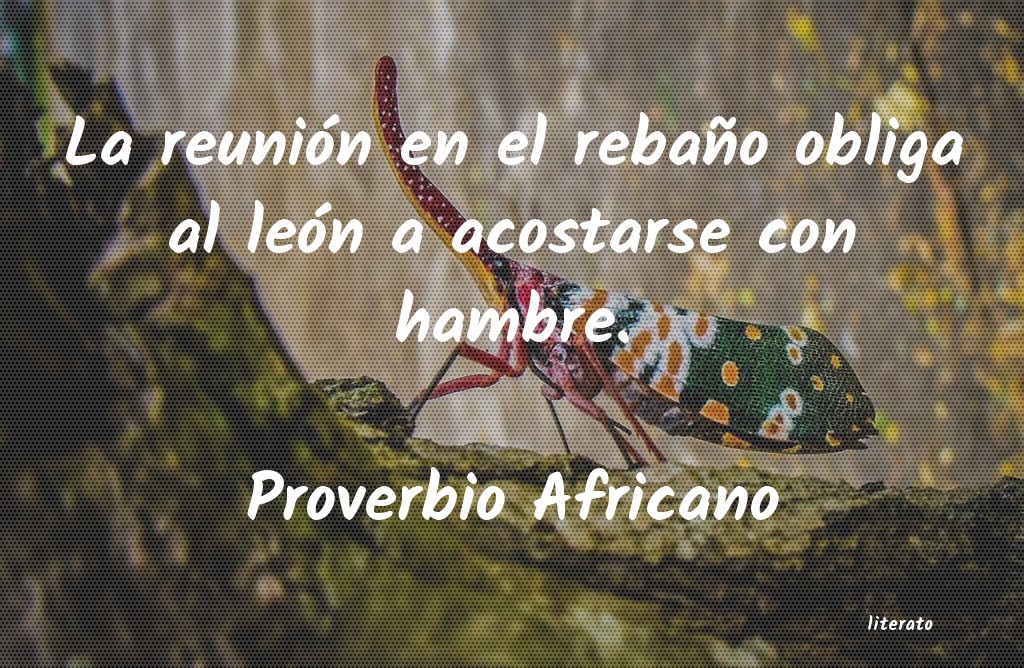 Frases de Proverbio Africano