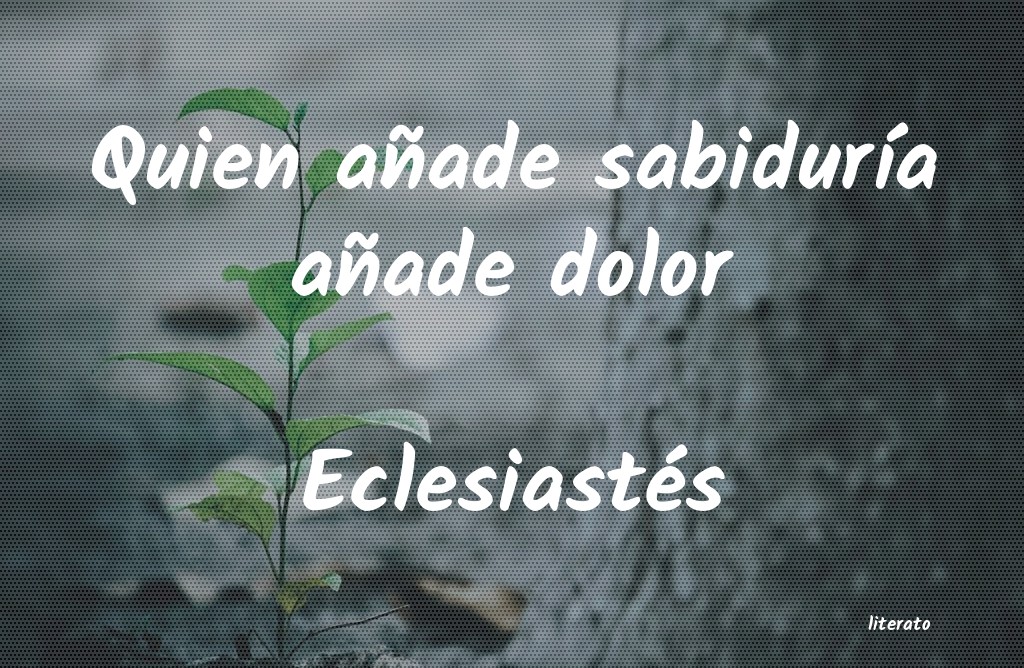 frases de Eclesiastés