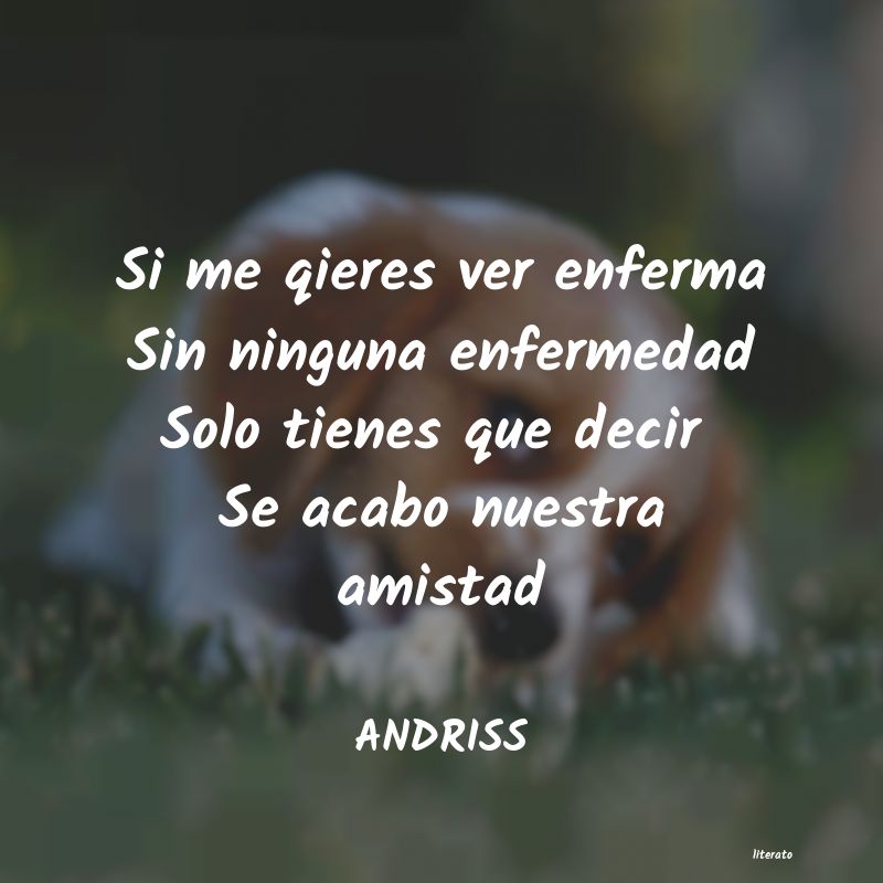 Frases de ANDRISS