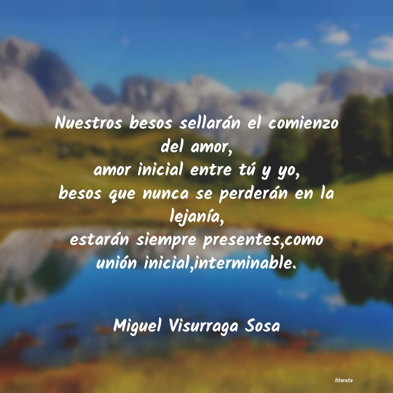 Frases de Miguel Visurraga Sosa