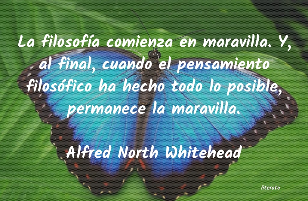 Frases de Alfred North Whitehead