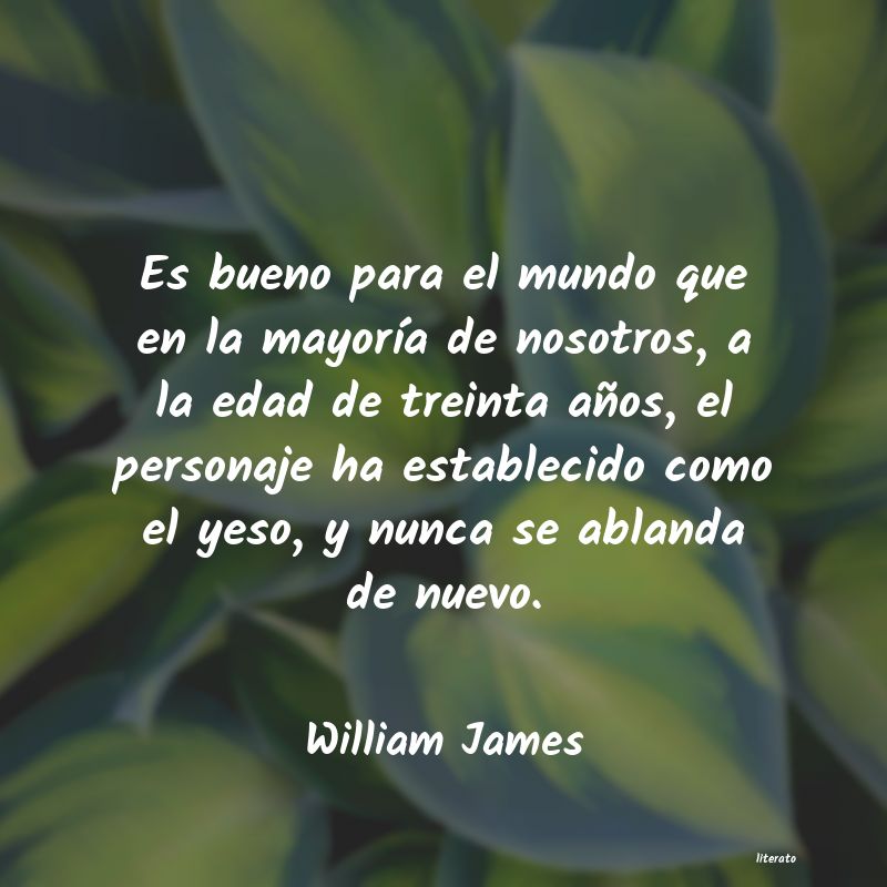 Frases de William James