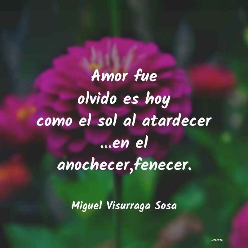 frases de Miguel Visurraga Sosa