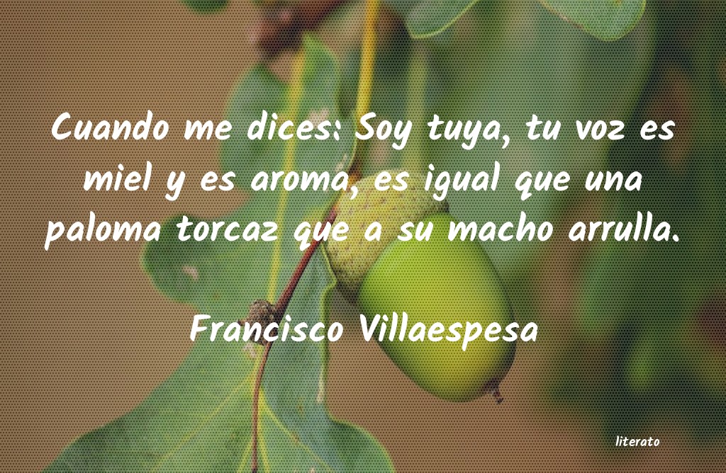 Frases de Francisco Villaespesa