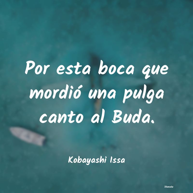 frases de Kobayashi Issa