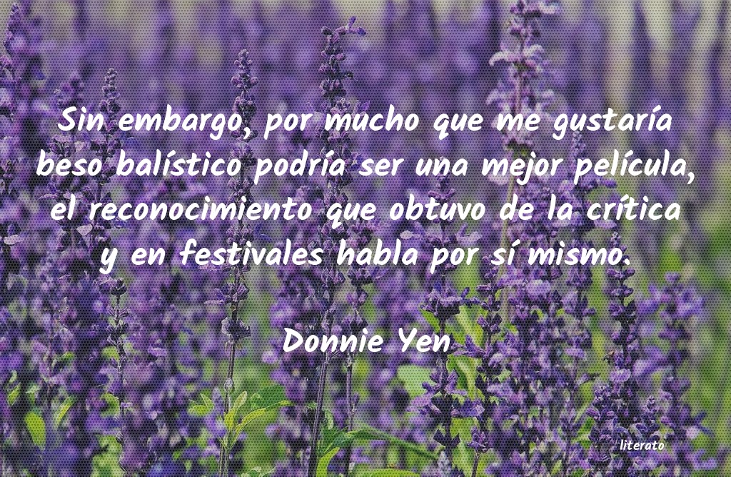 Frases de Donnie Yen