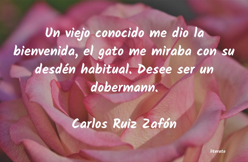 Frases de Carlos Ruiz Zafón