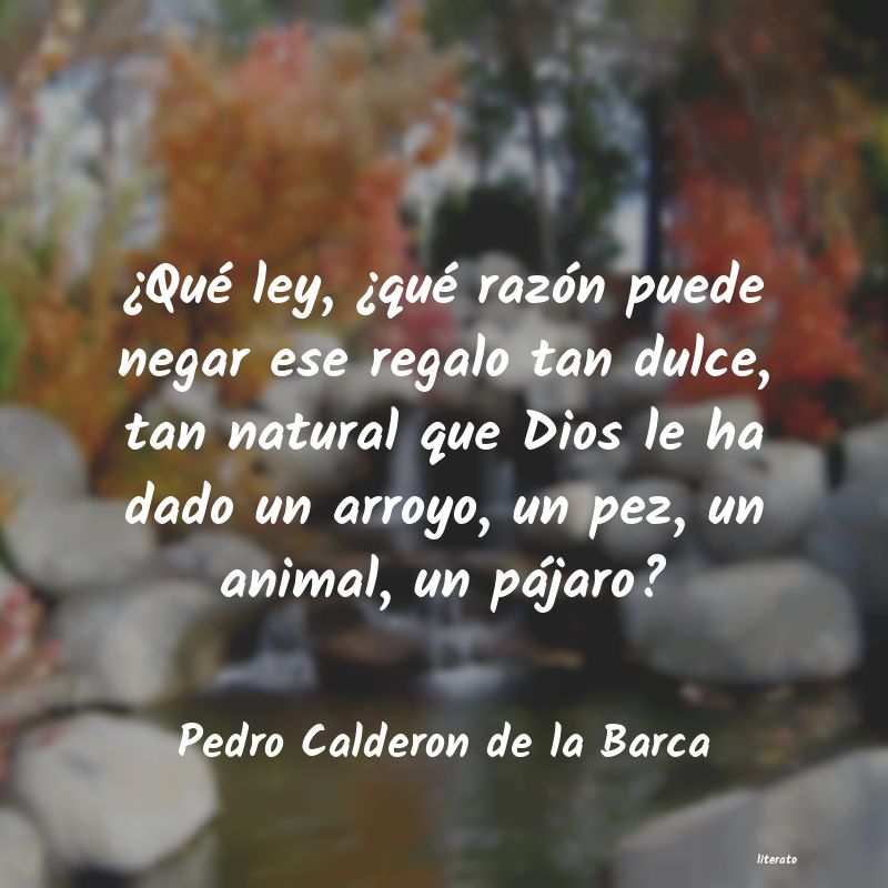 Frases de Pedro Calderon de la Barca