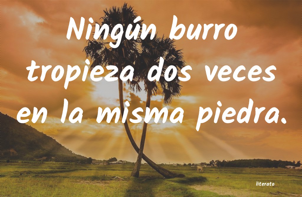 frases