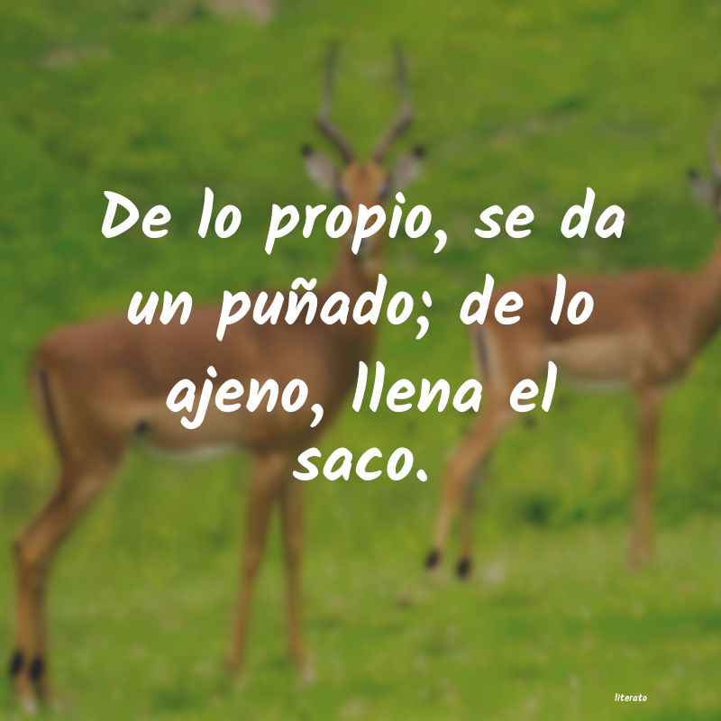 Frases de 