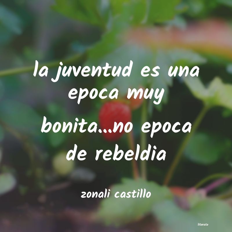 Frases de zonali castillo