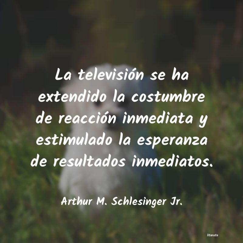 Frases de Arthur M. Schlesinger Jr.