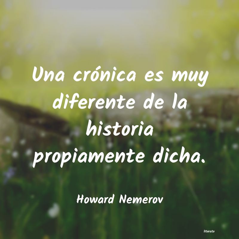 Frases de Howard Nemerov