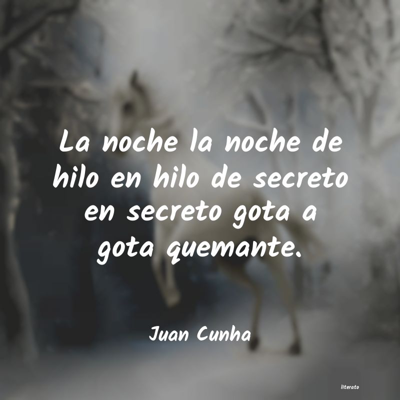 Frases de Juan Cunha