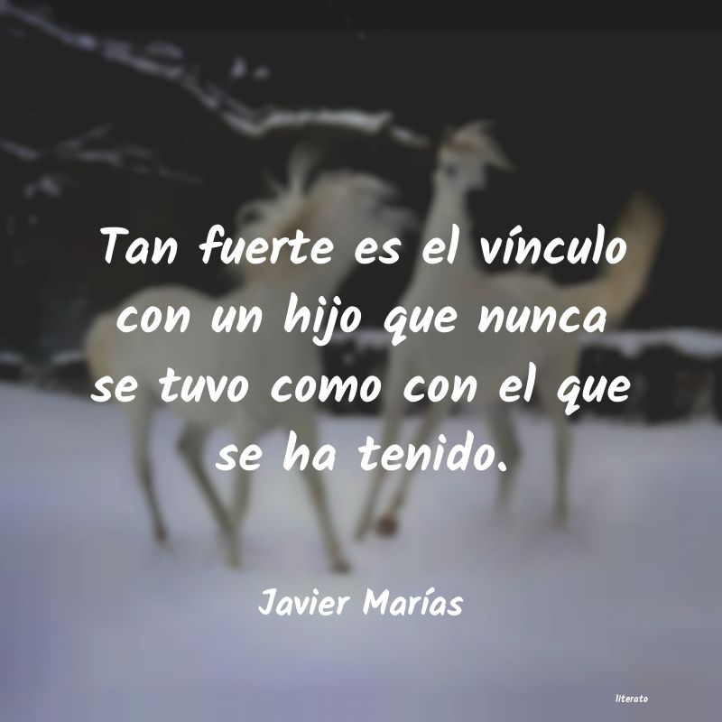 Frases de Javier Marías