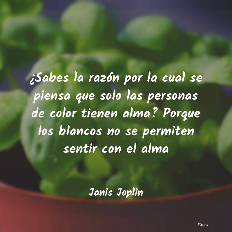 Frases de Janis Joplin