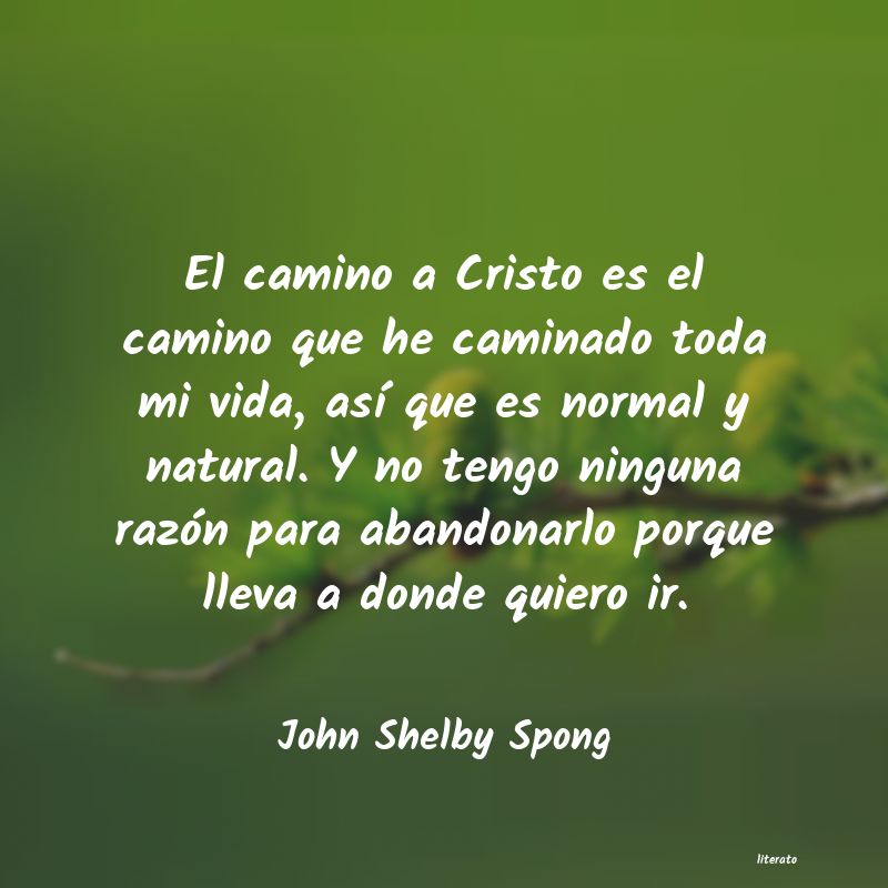 Frases de John Shelby Spong