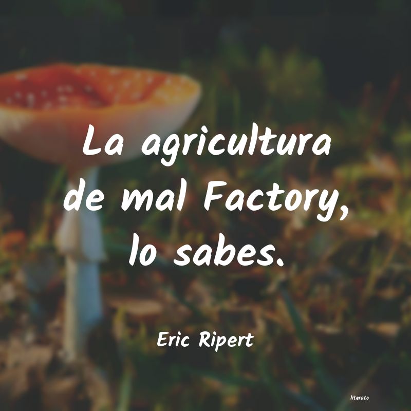 Frases de Eric Ripert