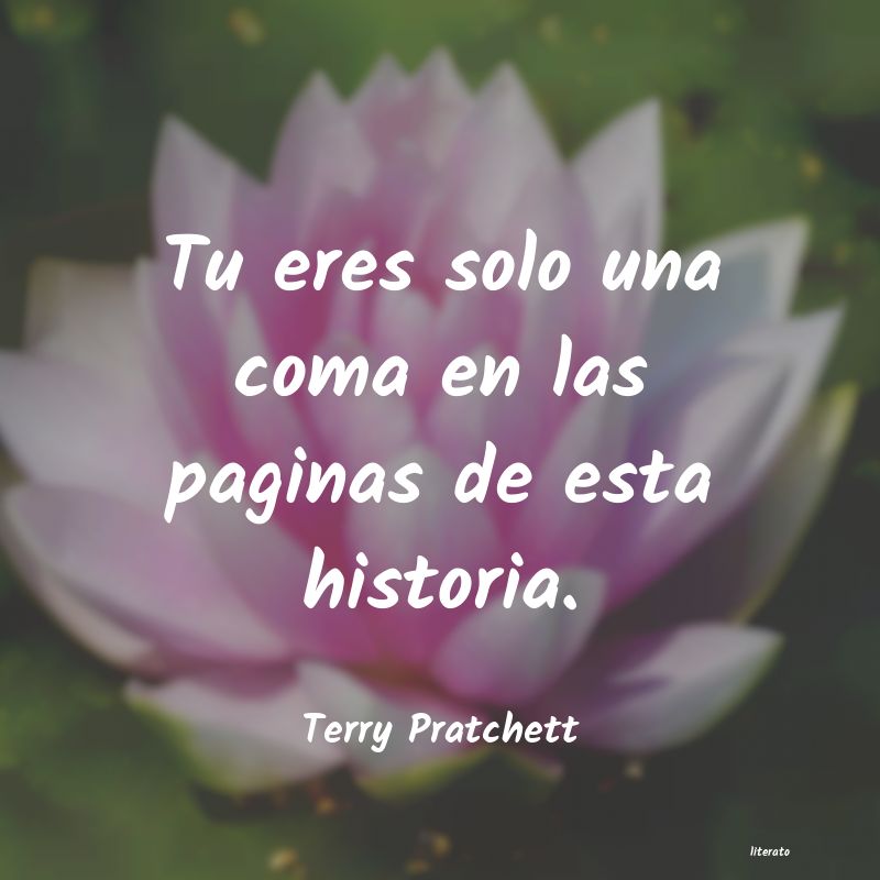 Frases de Terry Pratchett