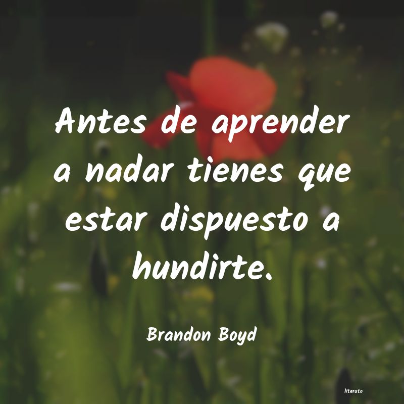 frases de Brandon Boyd