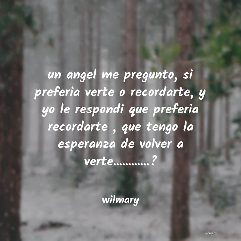 frases de wilmary