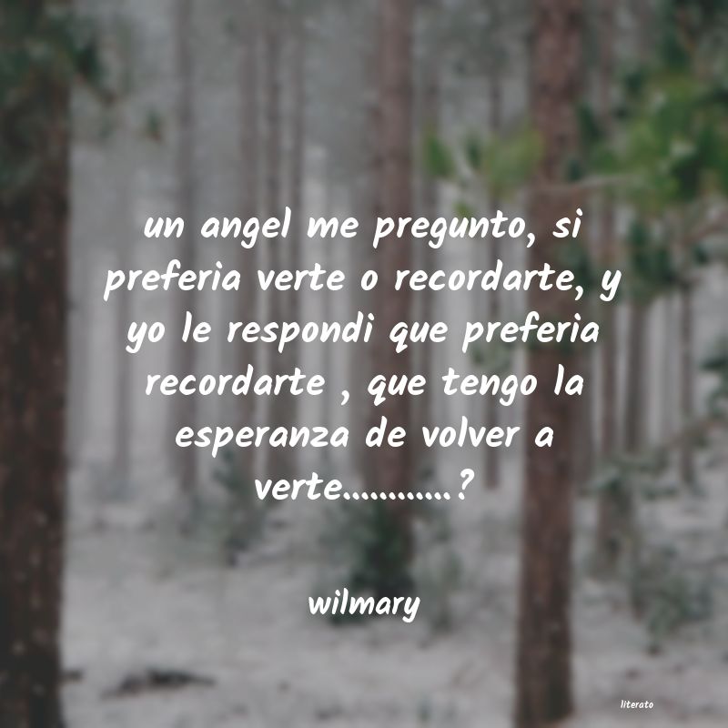 Frases de wilmary