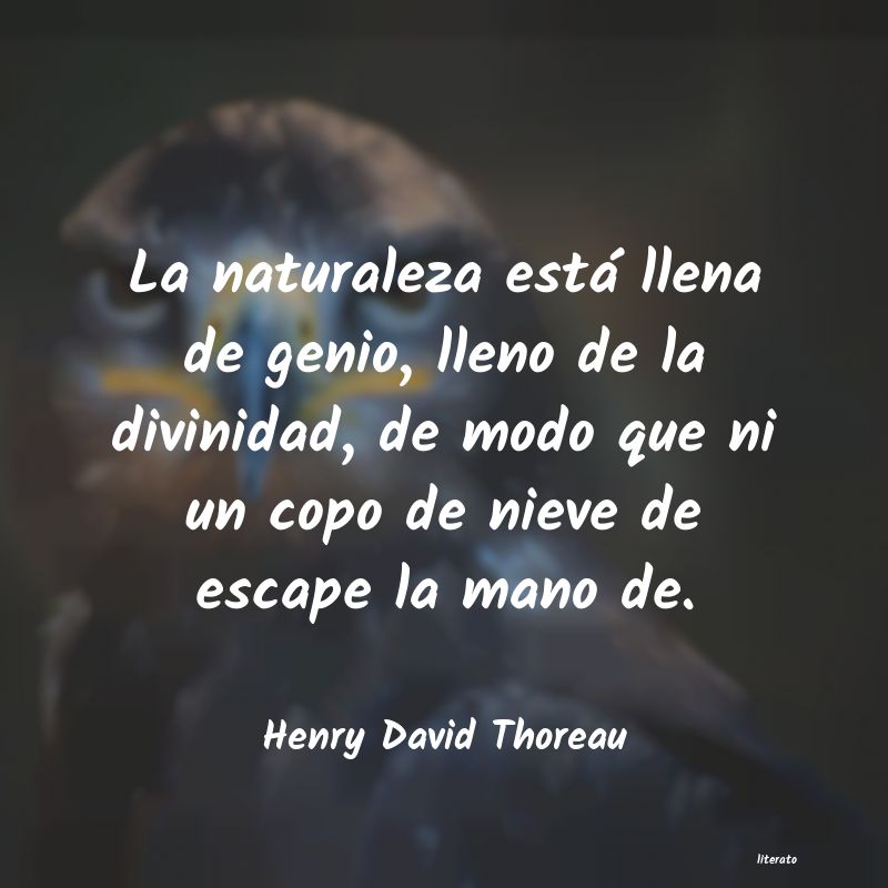 Frases de Henry David Thoreau