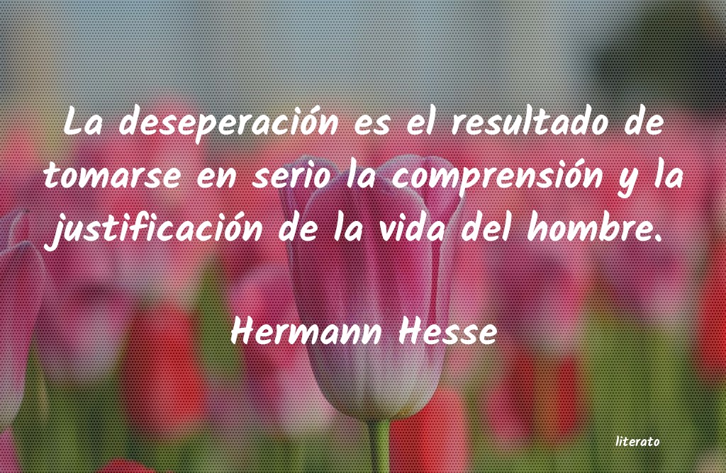 Frases de Hermann Hesse